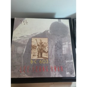 이승환 1집 LP