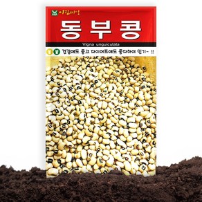 아람종묘 동부콩 씨앗 30g, 1개