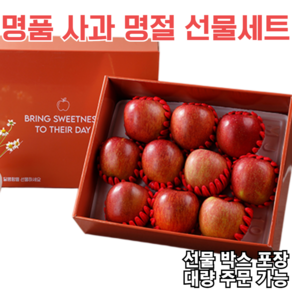 2025 설 명절 RED 부사 사과 특품 10과 선물세트, 1세트, 2.5KG(개당250g내외)