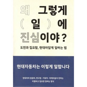 왜 그렇게 일에 진심이야?:도전과 집요함 현대차답게 일하는 법, 현대자동차(Hyundai Moto Company), 현대자동차 기업문화혁신팀 저