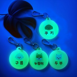 [블루나 디자인스튜디오]반려견 강아지 반려동물 야광 양면 네임택 아크릴 네임키링 인식표 이름표 산책 외출용 미아방지, 1개, 은색고리