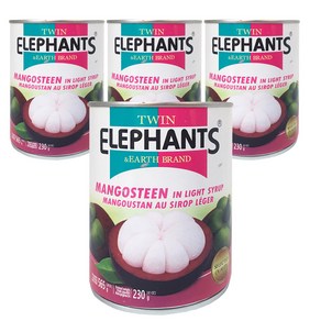 [태국] TWIN ELEPHANTS 망고스틴통조림 565g/ Mangosteen 빙수 토핑 가니쉬 과일캔, 565g, 4개