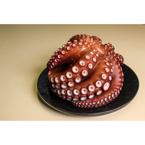 통영 자연산 활돌문어 (1kg), 1kg (1~2마리)