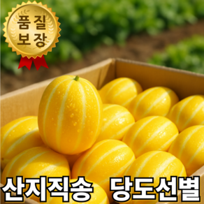 [고당도 선별] 프리미엄 산지직송 성주 꿀 참외 꼬마 못난이 특품, 1박스, 특품 3kg