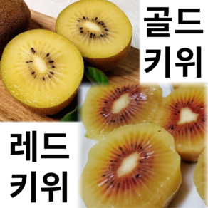 제주 레드키위 골드키위 특특대 한국산 초고당도 산지직송 고당도 누빌, 1박스, 제주 제스프리 골드키위 점보 1.5kg (10개입)