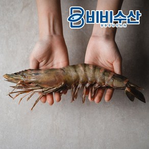 비비수산 킹타이거새우 1kg 5미 킹블랙타이거새우, 1개