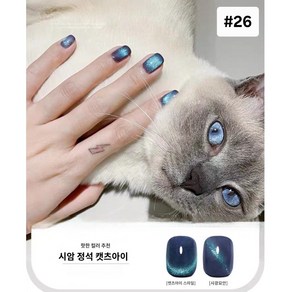<제이디스카이>에네스 자석젤네일 빛나는 자석젤 똥손도 셀프네일 예쁘게 할수있는 자석젤네일, 1개, 10ml, #26
