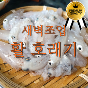 여수 자연산 생물 호래기, 500g / 70미 내외, 1개