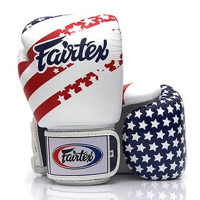 페어텍스 권투글러브 격투글러브 BGV1 “USA” Edition Gloves