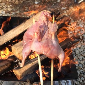 [맛있는생활] 구이 백숙용 손질 메추리(생지)10마리(750g)/ 국내산 캠핑푸드, 1개