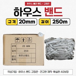 하우스 밴드 고정끈 폴리밴드 250m, 20mmX250m, 1개