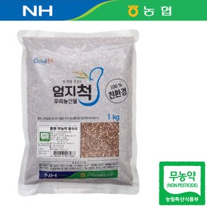 강원 정선 24년산 국산 농협 무농약 수수 1kg 찰수수 수수쌀 수수밥, 1개