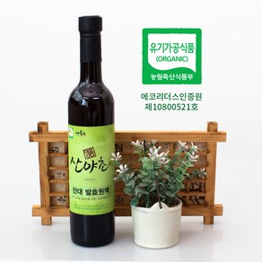 잔대 효소 발효액 유기농 이의영 산야초 효소 500ml