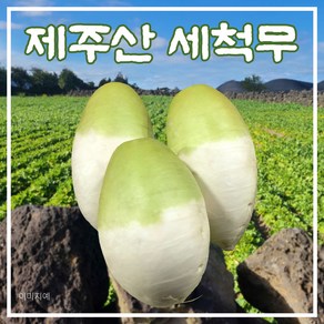 제주 세척무 청정 제주산 신선도 100% 보장 깨끗하게 세척 완료 믿고 먹는 건강한 선택!, 1개, 5kg