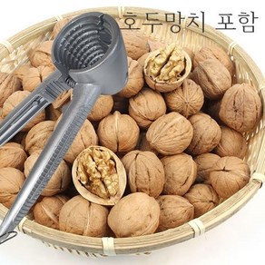 명문호두 알호두 견과, 1개, 1kg+호두망치1개, 1kg