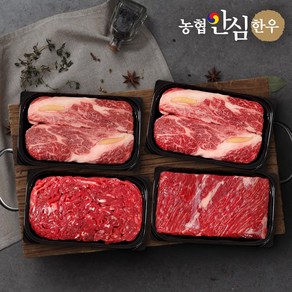 [농협안심한우] 1등급 구이정육 1호 선물세트1.2kg (등심300g+등심300g+불고기300g+국거리300g), 1개, 1.2kg