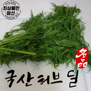 국산 허브딜 레몬딜 허브 딜 생잎 50g, 1개