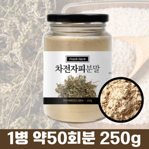 신선약초 차전자피분말, 1개, 250g