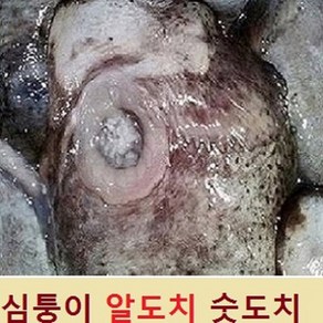 (쌍다리상회) 생물 심퉁이 알도치+숫도치 생물, 1개, 생물 알도치1+숫도치1 손질까지 생물