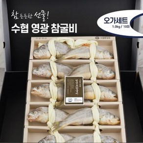 [수협중앙회]프리미엄 참굴비 1.0kg10미+부직포가방, 1세트, 1.0kg