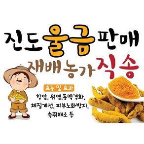 울금, 1개 500g, 1개