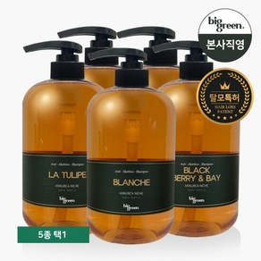 빅그린 아누카 니치 탈모샴푸 1000ml_5가지향 택1, 향선택:블랙베리앤베이, 1개, 1L