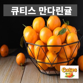 금메달농수산 직수입 고당도 큐티스 만다린 귤, 1개, 3kg