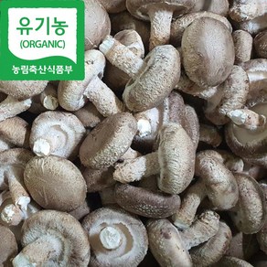 [해담은농장] 유기농 생표고버섯 1kg, 1개, 동고1kg