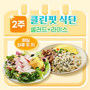 [포켓샐러드] 샐러드&라이스 2주 클린핏 식단/ 샐러드와 도시락으로 더 맛있는 관리 (총 24팩), 24개, 240g