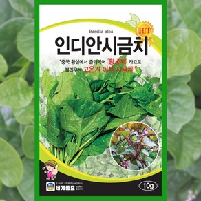 인디안 시금치 씨앗 10g 황궁채 종자 채소 야채, 1개