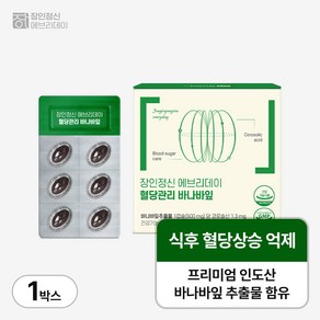 혈당관리 당뇨영양제 식후 케어 장인정신 에브리데이 바나바잎, 1개, 500mg, 60정