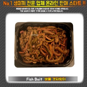 조이사낚시 생물 갯지렁이 낚시용 미끼, 소(50g), 1개