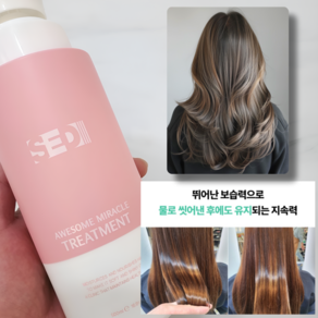 세디 트리트먼트 극손상 복구 미용실 단백질 헤어팩, 1개, 500ml