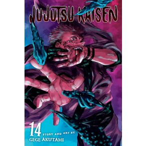 Jujutsu Kaisen Vol. 14 14:, Viz Media, English, 9781974725328