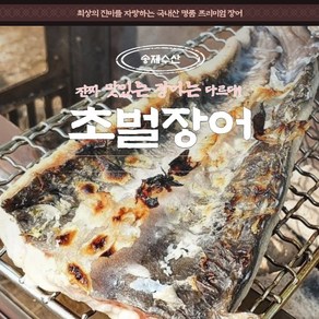 고창 풍천장어 특미 초벌장어 중량업 민물장어 1.6kg 손질및초벌후 순살 800g+이상