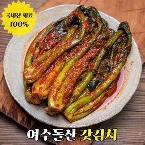 [도도한식탁] 감칠맛의 끝판왕 국내산 여수 돌산 갓김치 전라도 김치, 1박스, 2kg