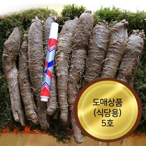 어사매횡성더덕영농조합법인 더덕도매상품 식당용5호(1kg), 1박스, 1kg