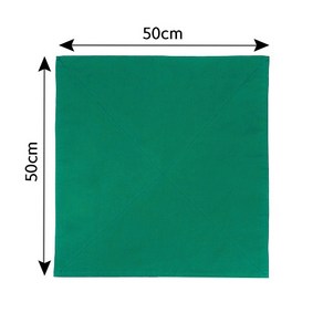 영남 수술포 소독포 기구포 50*50(2겹) 녹색, 50×50, 1개