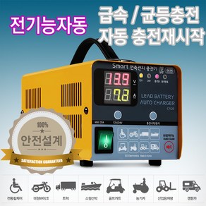 이오전자 12V 24V 겸용 국산 스마트충전기 CA20 [3시이전 주문건 당일발송] 12V200Ah 24V100Ah까지 배터리충전 연축전지 납축전지 산업용 발전기용, 1개