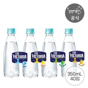 더 빅아 탄산수탄산음료 무라벨 350mL 20개 2박스, 청포도 20펫_파인애플 20펫, 40개