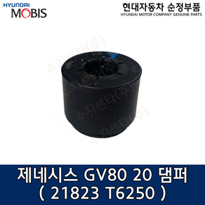 현대모비스 GV80(JX1) 맥동음 댐퍼 / 21823T6250 / 21823 T6250 / 순정부품 / 댐퍼 / GV80 20