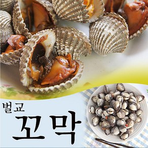 보성 벌교여자만 새꼬막 1.5kg (기본)/산지직송, 단품, 1개