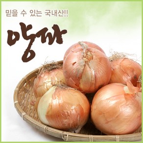 아빠의 마음 국내산 양파 3kg 5kg 10kg, 5kg(상품), 1개