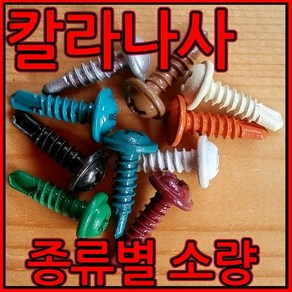 칼라피스/나사/나사못/컬러/체결/기리피스/직결/소량, 10-1 칼라직결피스, 청남색-12개, 1개