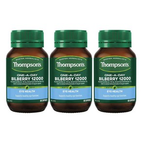 톰슨 빌베리 12000mg 60캡슐 3개/ Thompson's ONE-A-DAY Bilbey, 3개, 60정