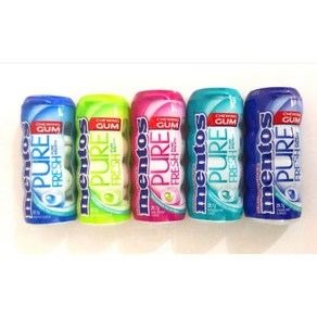 멘토스 퓨어 프레시 껌 Mentos Pue Fesh Bottle Gum 29.7g x 3개, 민트 x 3개, 46g