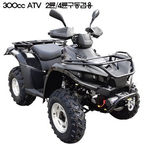 300cc ATV 사륜바이크 산악용바이크, 검정