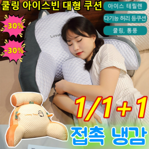 1/1+1[특가!]쿨링 아이스빈 대형 쿠션 아이스 테릴렌 다기능 허리 등쿠션 요추방석 아주 편안한 냉감 쿠션, 공룡