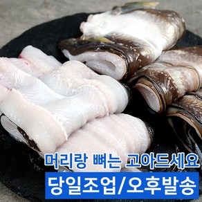 [홍이네수산][당일손질] 통영 손질 바다장어 구이 아나고 1kg 2kg 3kg 특대 2-3인용 구이용 탕용(손질후750g 내외), 1개