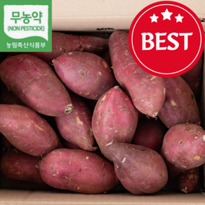 (청정밥상-당일배송) 해남 베니하루카 프리미엄 고구마, 1박스, 5kg, 특상사이즈